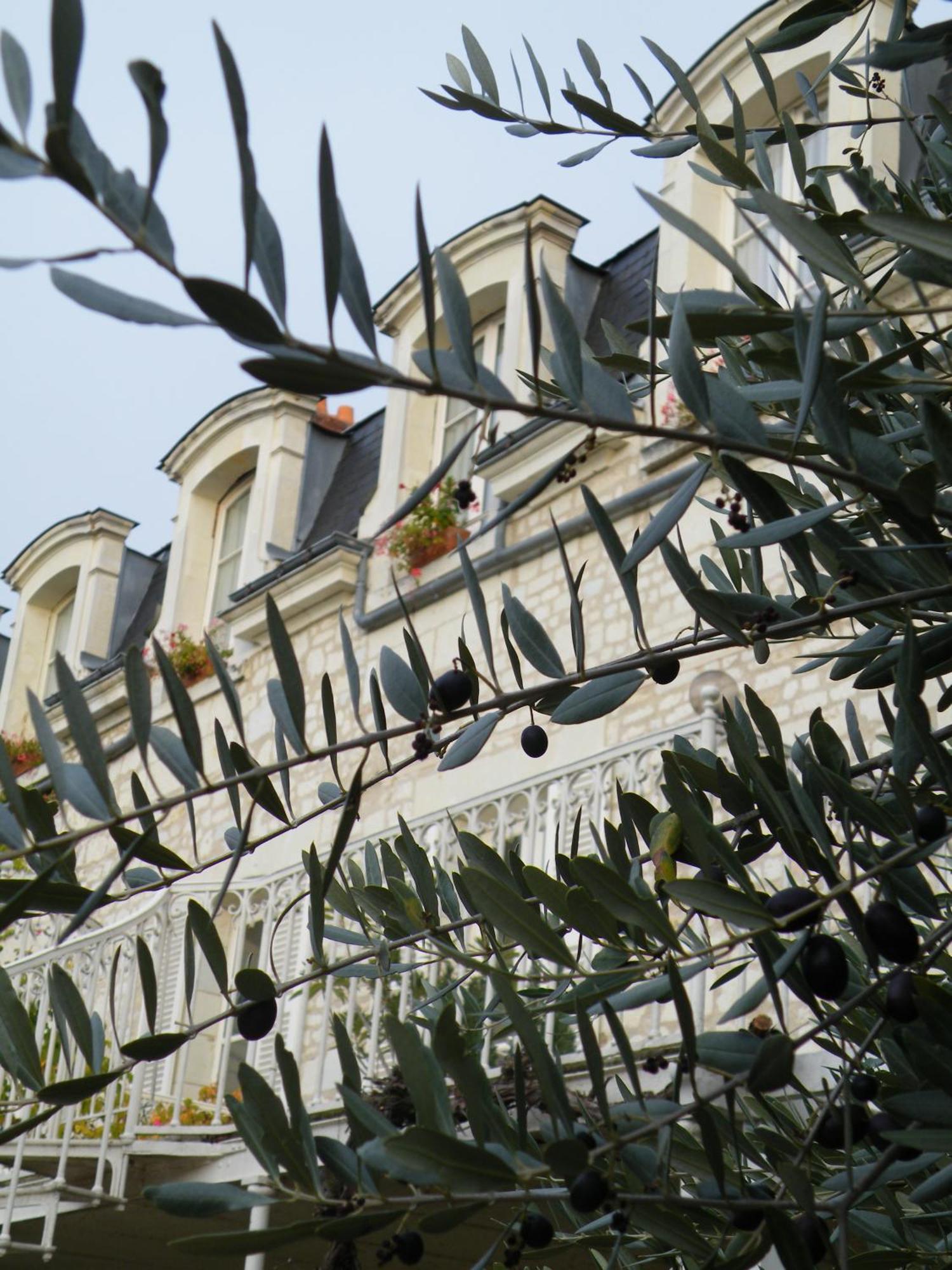 Hotel Diderot Chinon Zewnętrze zdjęcie